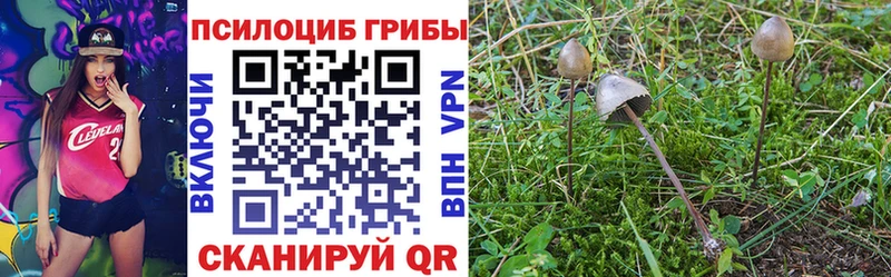 Галлюциногенные грибы Psilocybe  hydra   Вилюйск 